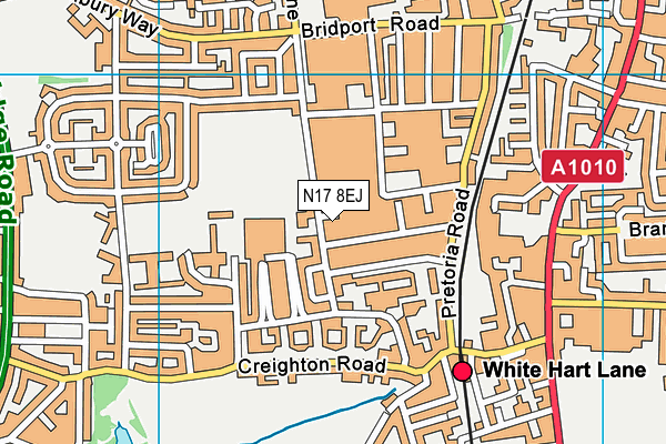 N17 8EJ map - OS VectorMap District (Ordnance Survey)