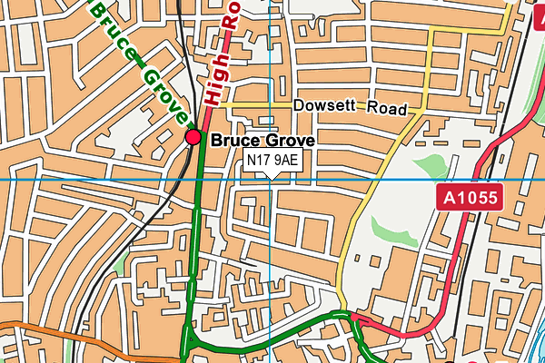 N17 9AE map - OS VectorMap District (Ordnance Survey)