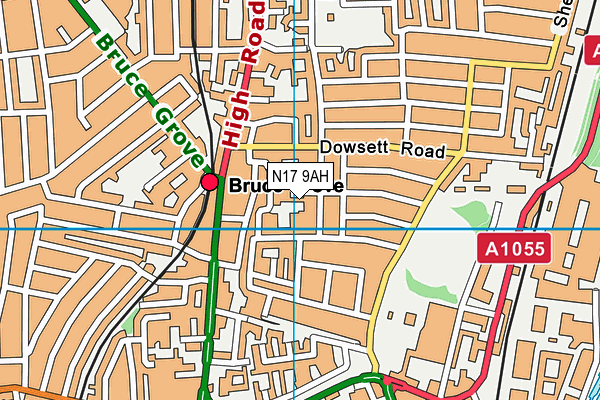 N17 9AH map - OS VectorMap District (Ordnance Survey)