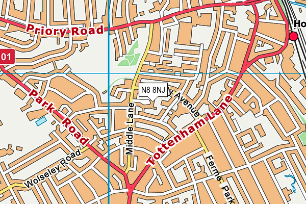 N8 8NJ map - OS VectorMap District (Ordnance Survey)