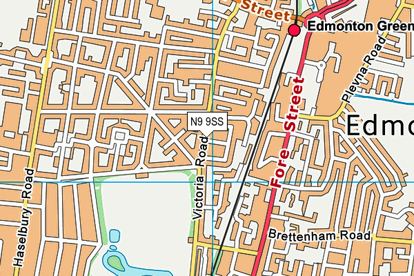 N9 9SS map - OS VectorMap District (Ordnance Survey)