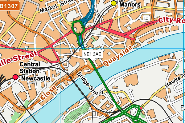 NE1 3AE map - OS VectorMap District (Ordnance Survey)