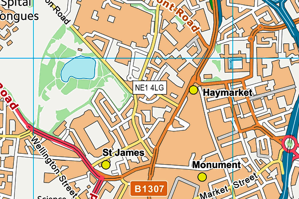 NE1 4LG map - OS VectorMap District (Ordnance Survey)
