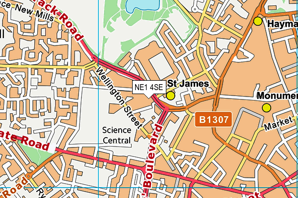 NE1 4SE map - OS VectorMap District (Ordnance Survey)