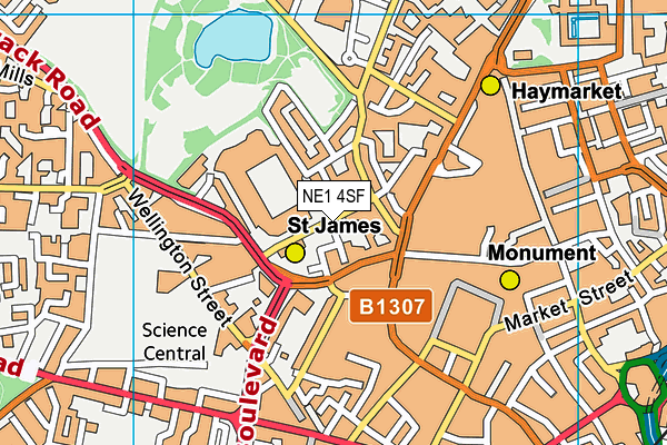 NE1 4SF map - OS VectorMap District (Ordnance Survey)