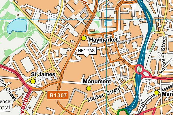 NE1 7AS map - OS VectorMap District (Ordnance Survey)