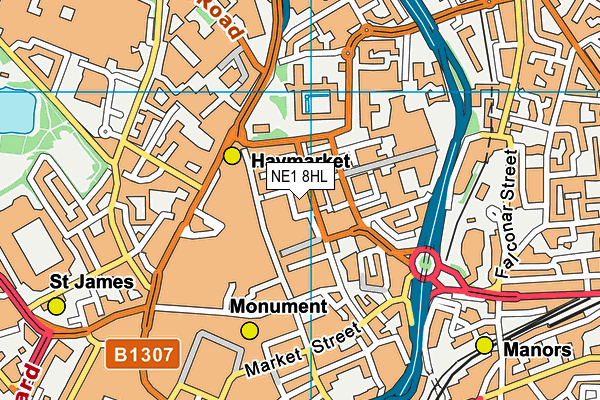 NE1 8HL map - OS VectorMap District (Ordnance Survey)