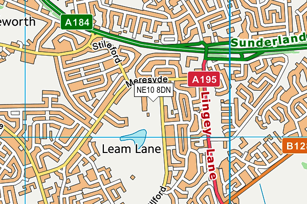 Lingey House Primary School map (NE10 8DN) - OS VectorMap District (Ordnance Survey)