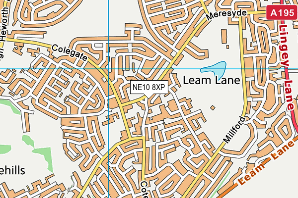 NE10 8XP map - OS VectorMap District (Ordnance Survey)