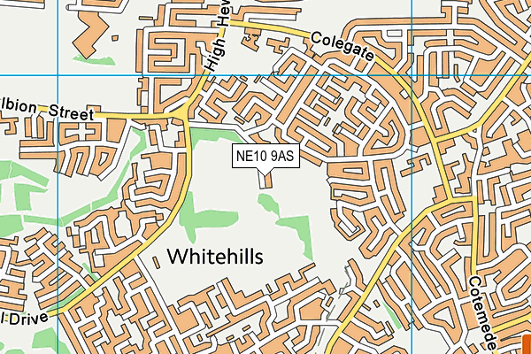 NE10 9AS map - OS VectorMap District (Ordnance Survey)