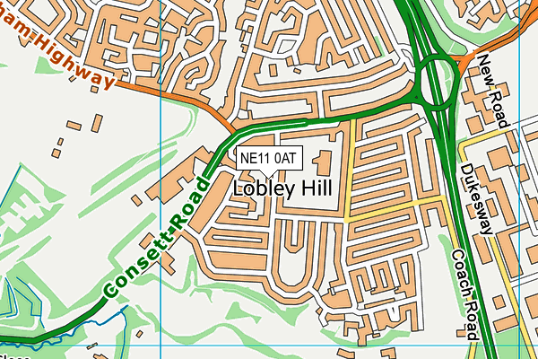 Lobley Hill Primary School map (NE11 0AT) - OS VectorMap District (Ordnance Survey)