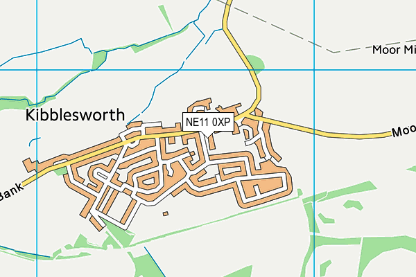 Kibblesworth Academy map (NE11 0XP) - OS VectorMap District (Ordnance Survey)