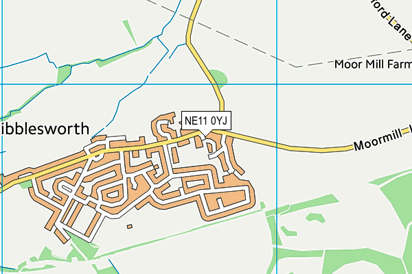 NE11 0YJ map - OS VectorMap District (Ordnance Survey)