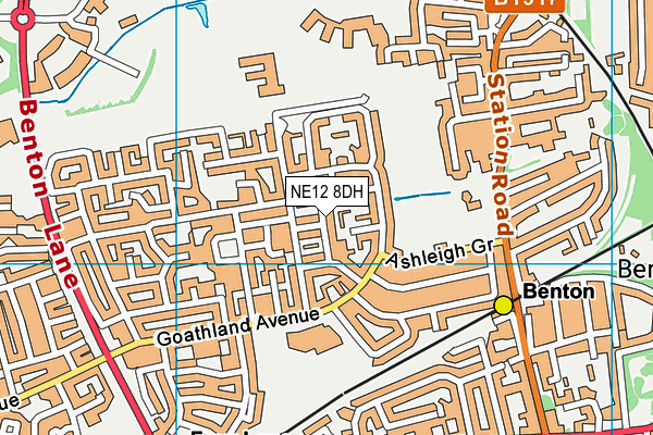 NE12 8DH map - OS VectorMap District (Ordnance Survey)