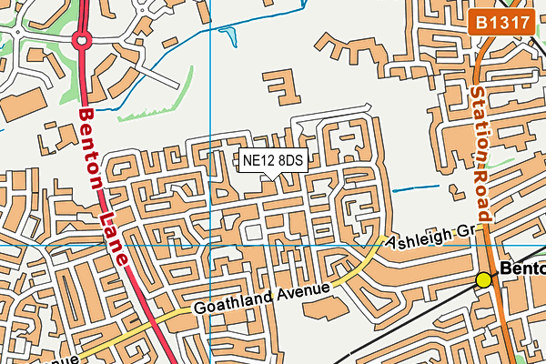 NE12 8DS map - OS VectorMap District (Ordnance Survey)