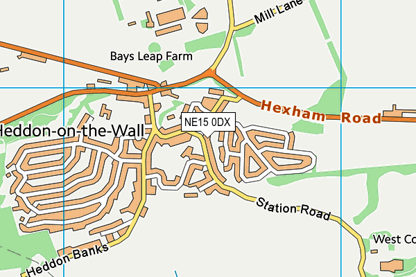 NE15 0DX map - OS VectorMap District (Ordnance Survey)