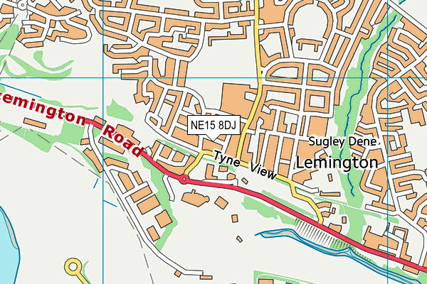 NE15 8DJ map - OS VectorMap District (Ordnance Survey)