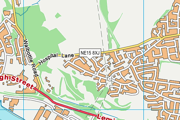 NE15 8XJ map - OS VectorMap District (Ordnance Survey)