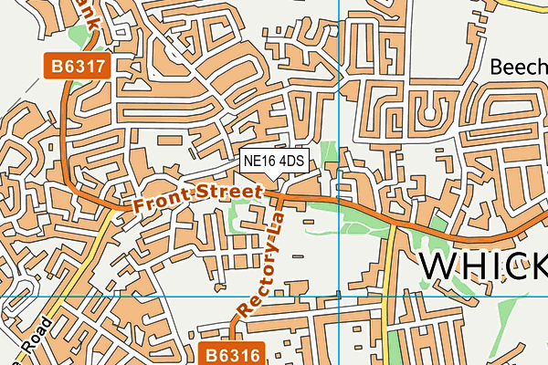 NE16 4DS map - OS VectorMap District (Ordnance Survey)