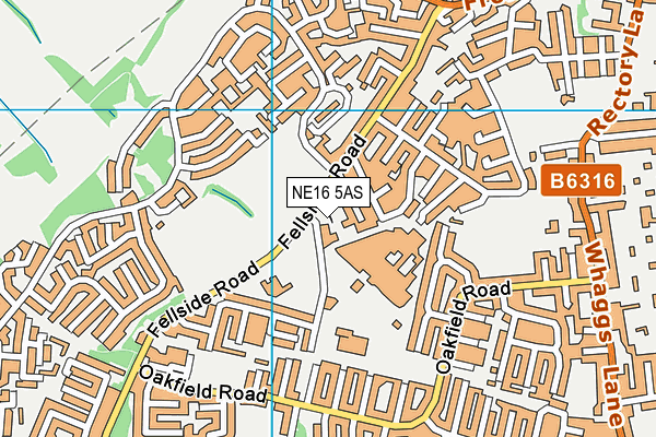 NE16 5AS map - OS VectorMap District (Ordnance Survey)