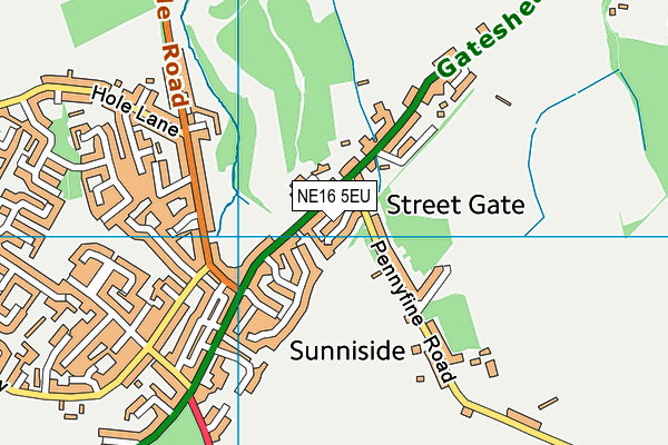 NE16 5EU map - OS VectorMap District (Ordnance Survey)