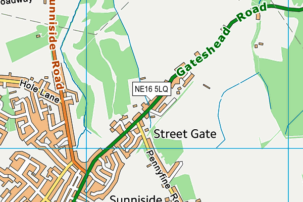 NE16 5LQ map - OS VectorMap District (Ordnance Survey)