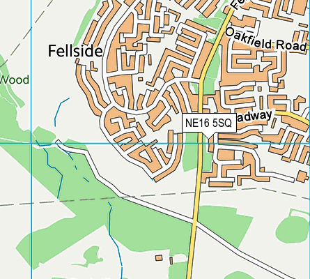 NE16 5SQ map - OS VectorMap District (Ordnance Survey)