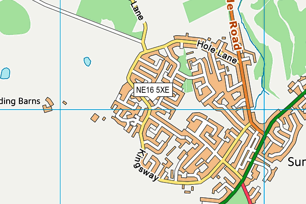 NE16 5XE map - OS VectorMap District (Ordnance Survey)