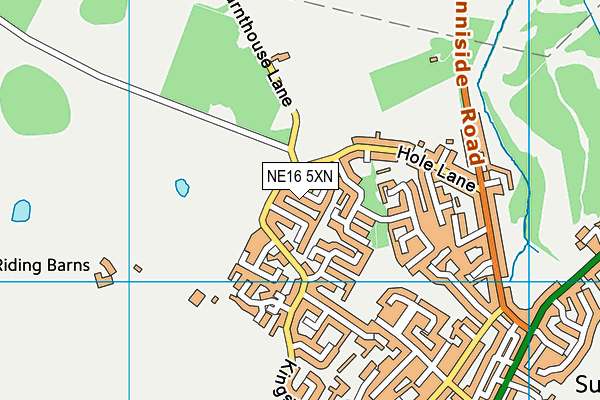 NE16 5XN map - OS VectorMap District (Ordnance Survey)
