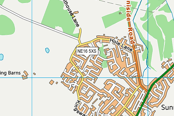 NE16 5XS map - OS VectorMap District (Ordnance Survey)