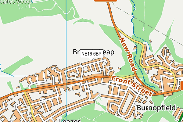 NE16 6BP map - OS VectorMap District (Ordnance Survey)