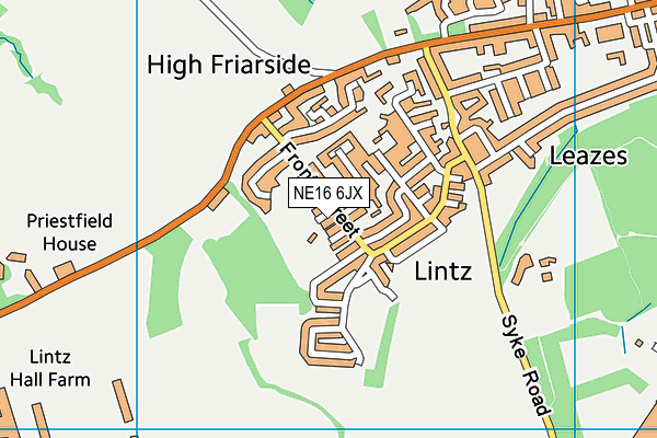 Lintz Cricket Club map (NE16 6JX) - OS VectorMap District (Ordnance Survey)