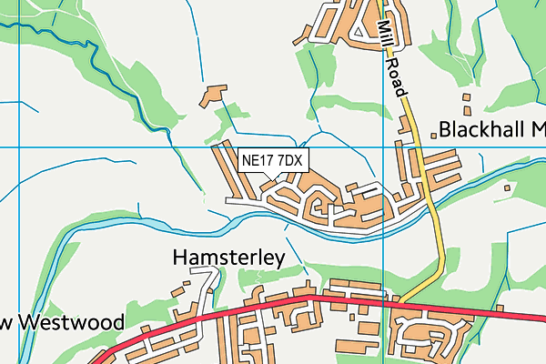 NE17 7DX map - OS VectorMap District (Ordnance Survey)