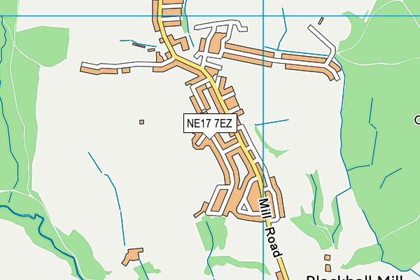 NE17 7EZ map - OS VectorMap District (Ordnance Survey)