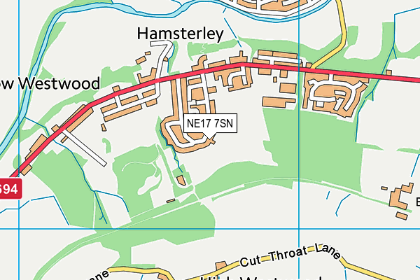 NE17 7SN map - OS VectorMap District (Ordnance Survey)