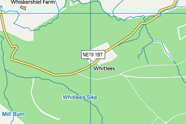 NE19 1BT map - OS VectorMap District (Ordnance Survey)