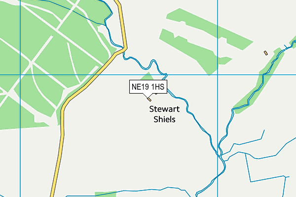 NE19 1HS map - OS VectorMap District (Ordnance Survey)