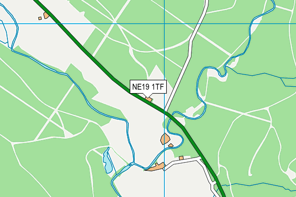 NE19 1TF map - OS VectorMap District (Ordnance Survey)