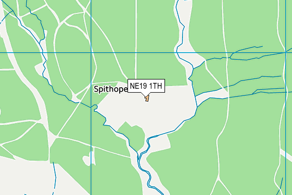 NE19 1TH map - OS VectorMap District (Ordnance Survey)