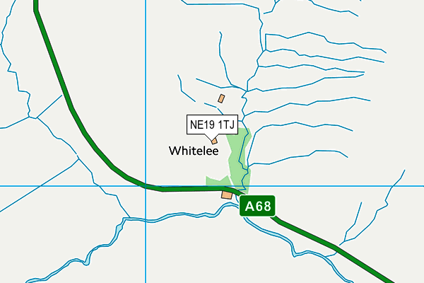 NE19 1TJ map - OS VectorMap District (Ordnance Survey)