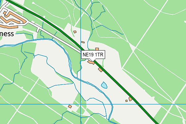 NE19 1TR map - OS VectorMap District (Ordnance Survey)