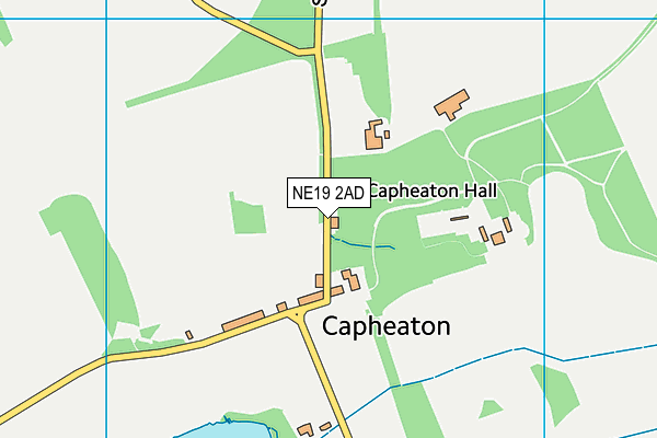 NE19 2AD map - OS VectorMap District (Ordnance Survey)