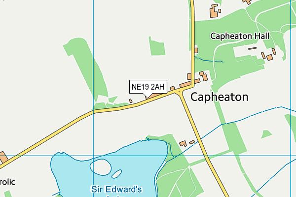 NE19 2AH map - OS VectorMap District (Ordnance Survey)