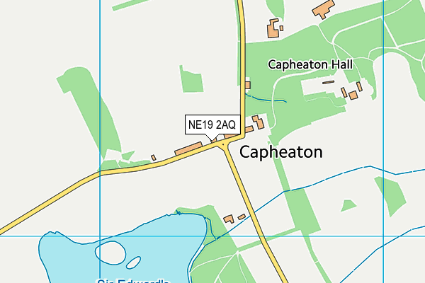 NE19 2AQ map - OS VectorMap District (Ordnance Survey)