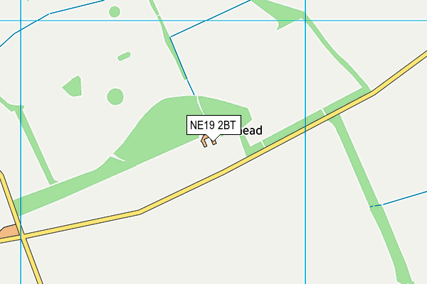 NE19 2BT map - OS VectorMap District (Ordnance Survey)