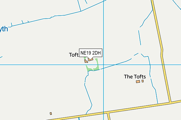 NE19 2DH map - OS VectorMap District (Ordnance Survey)