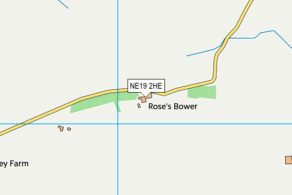 NE19 2HE map - OS VectorMap District (Ordnance Survey)