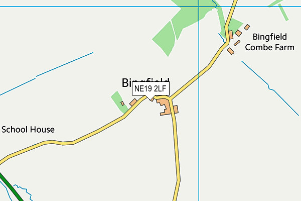 NE19 2LF map - OS VectorMap District (Ordnance Survey)