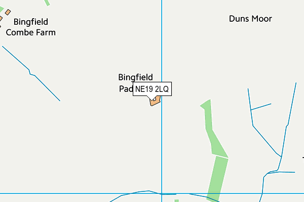 NE19 2LQ map - OS VectorMap District (Ordnance Survey)