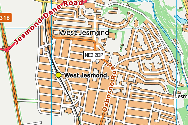 NE2 2DP map - OS VectorMap District (Ordnance Survey)